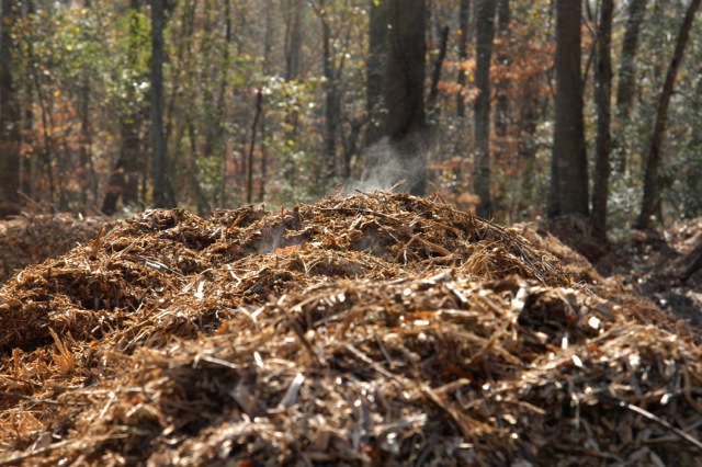 Steaming compost pile