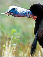 content_img.2026.img.jpg