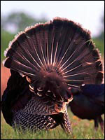 content_img.2027.img.jpg