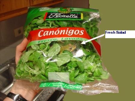 content_img.2657.img.jpg