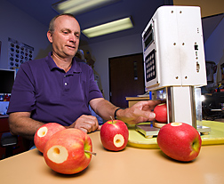 Technician uses a recording penetrometer to measure apple firmness, a key component of apple fruit quality: Click here for full photo caption.
