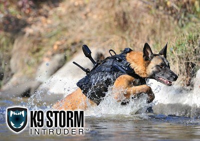 K9-Storm-2