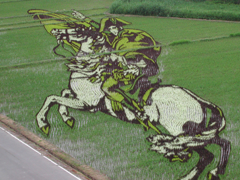 Rice paddy art, Japan --
