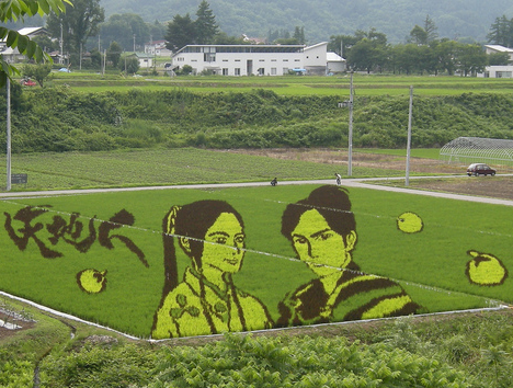 Rice paddy art, Japan --
