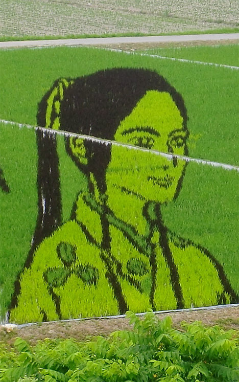 Rice paddy art, Japan --