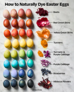 The Kitchn" recipe illustration for a few of the colors obtained when using food and flower sources.